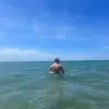Thomas Petch - @thomaspetch0 - TikTok