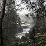 Thomas Petry - @thomas.petry.9 - Instagram