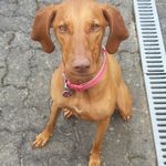 Thomas Petz - @thomas.petz.14 - Instagram