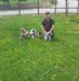Thomas Pfeffer - Facebook