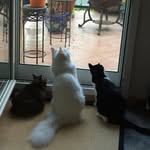 Thomas Pfeffer - @pfefferthomas57 - Instagram