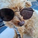 Thomas Pfister - @thomas.pfister.1481 - Instagram