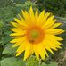 Thomas Pfister - Facebook