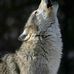 Thomas Pfister - Facebook