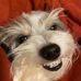 Thomas Pharr - Facebook