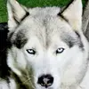 Thomas Philpott - @thomas.philpott - TikTok