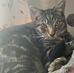 Thomas Philpott - Facebook
