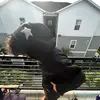 Thomas Philpott - @thomas941fl - TikTok