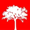 ThomasPhilpottLtd - @tomphilltd - TikTok