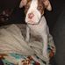 Thomas C Picard - Facebook