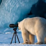 Tom P - @thomas.picinich28 - Instagram