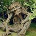 Thomas Pickel - Facebook