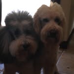 Pickens And Thomas - @pickensandthomas - Instagram