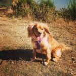 ThomasPickle - @thomas__pickle - Instagram