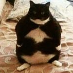 thomas pierceall - @jeffy_5566 - Instagram