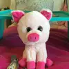 Thomas🐷💕 - @thomasthepiggg - TikTok