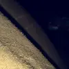 thomas.piggzz - @thomas.piggzz - TikTok