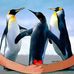 Thomas Pigott - Facebook