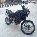 Thomas Pihl - @schallepihl - Instagram