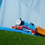 @thomaspillowpet - Instagram