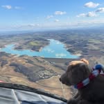 Thomas The Bear Pilot - @bearpilot_travelblog - Instagram