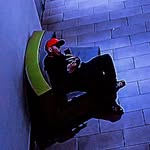 Thomas Piña - @_thomaspr_ - Instagram