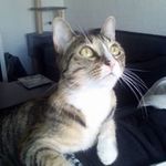 Thomas Pinardon - @thomaspinardon - Instagram