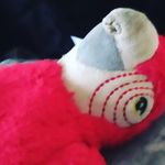 Thomas Pinder - @thomas_pinder - Instagram