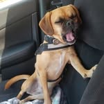 Thomas Pine - @thomaspine3 - Instagram