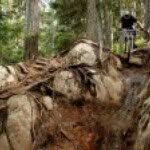 Thomas Pinkerton - @thomaspinkerton - Instagram