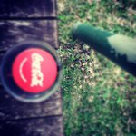 @thomaspinz - Instagram