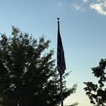 Thomas Pletcher - @pletch16 - Instagram