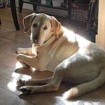 Odyseuss Thomas Plyler - @odyonig - Instagram