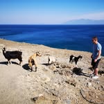 Thomas Pöhlmann - @thomas.phlmann - Instagram