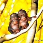 Thomas Pohlmann - @pohlmann.thomas - Instagram