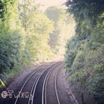 Thomas Poitras - @radiantrawa - Instagram