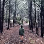 Thomas Pollock - @poconotom396 - Instagram