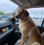 Thomas Pond - Facebook