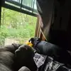 Thomas Ponds - @thomas.ponds1 - TikTok