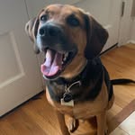 @dylanthomasporterfield - Instagram