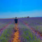 @thomas_portmann - Instagram
