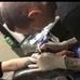 Thomas Poulsen Tattoo - Facebook