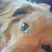 Thomas Pounders - Facebook