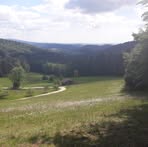 Thomas Prager - Facebook