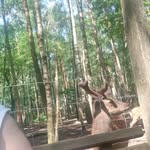 Thomas Priebe - @priebe.thomas - Instagram