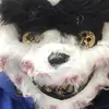 thomaspritchett86 - @thomaspritchett86 - TikTok