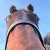 Thomas_12🔥 - @thomasprocter1 - TikTok