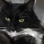 Thomas Pye - @pyeman_._ - Instagram