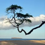 Thomas Pye - @t_pye1 - Instagram