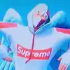 Thomas Raab - @imthefireworkbois - TikTok